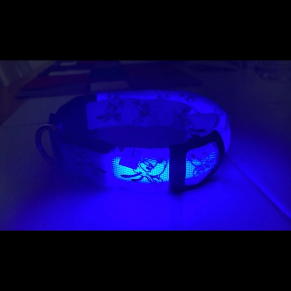 Blue Light-Up Dog Collar size Large